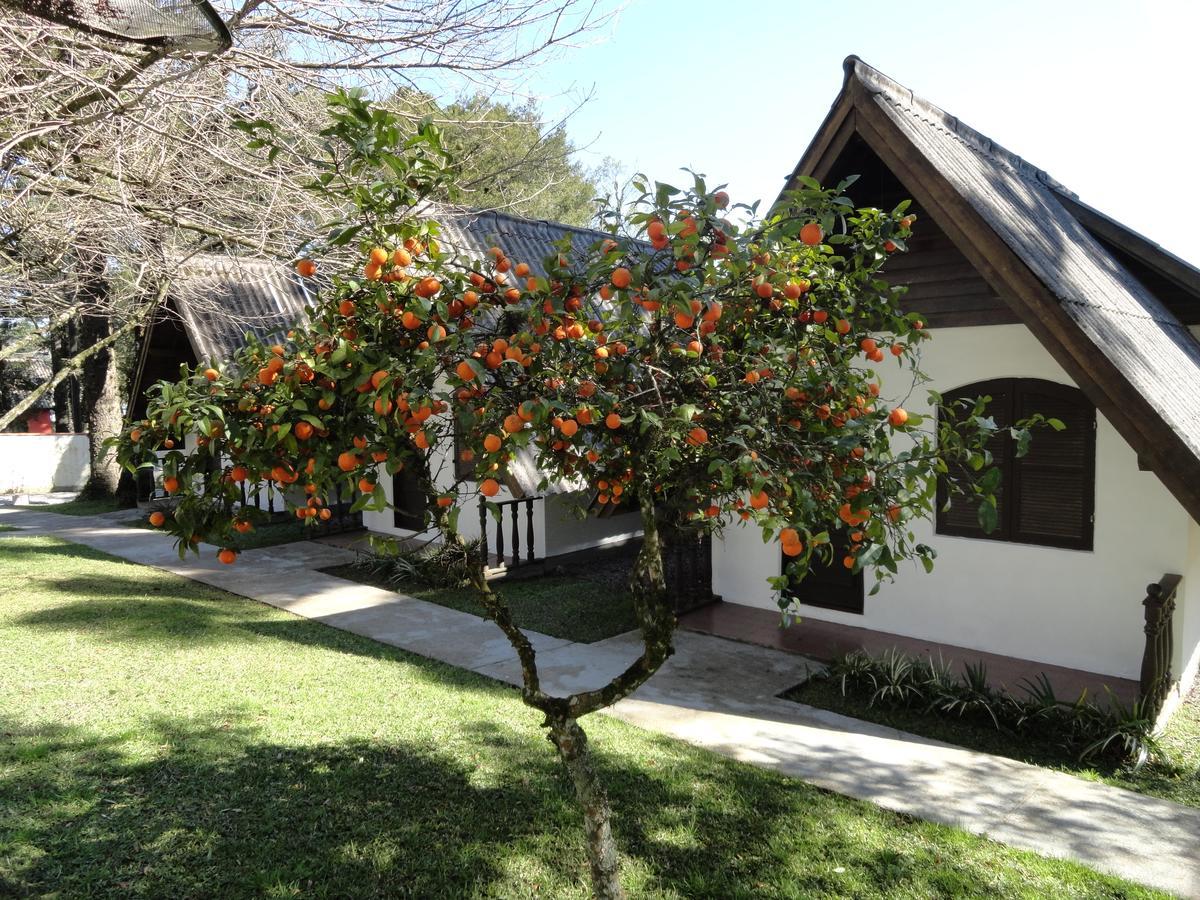 Hotel Pousada Dos Pinheiros 카넬라 외부 사진